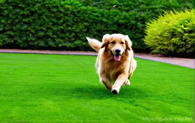 강아지의 질병 예방 - **Prompt 1: A Gentle Daily Health Check-up at Home**
"A cozy indoor scene featuring a caring pet... 강아지의 질병 예방 - **Prompt 1: A Gentle Daily Health Check-up at Home**
"A cozy indoor scene featuring a caring pet...