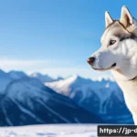 시베리안 허스키 추운 날씨 적응 - **Prompt:** "A majestic Siberian Husky stands proudly in a vast, snow-covered landscape under a cris...